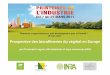 Biomasse et agroressources, quel développement pour la ... · Biomasse et agroressources, quel développement pour la Picardie ? 10 mars 2011 ... Up -and downstream integration TowardsTowards