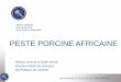 PESTE PORCINE AFRICAINE · 2018-11-08 · virus de la peste porcine africaine ne peuvent pas être introduits dans un troupeau porcin. 5. Interdition d’introduire des sangliers