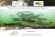 L’installation du silure dans le bassin du Rhône : bilan ...gvoc.free.fr/_include/fichier/Rapport_silure_Rhone_2016.pdf · L’installation du silure dans le bassin du Rhône :