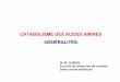 CATABOLISME DES ACIDES AMINES -GÉNÉRALITÉS-univ.ency-education.com/uploads/1/3/1/0/13102001/bioch2an23-20catabolisme_aa.pdf-Elle initie le catabolisme des acides aminés :après