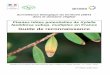 Guide de reconnaissance - Agriculture...4 I- INTRODUCTION 1) Objet du guide Ce guide a pour objet de faciliter la reconnaissance des plantes hôtes potentielles de Xylella fastidiosa