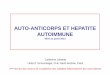 AUTO-ANTICORPS ET HEPATITE AUTOIMMUNE ... associ£©s aux anti-LKM 1 ou isol£©s (10% des HAI-2) Ac anti-LKM1