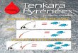 partir à la peche avec - Pêche à la mouche japonaisetenkara.fr/documents-tenkara/CATALOGUE-tenkara_2018-BD.pdf · Montage 12 Séjour Catalogne 13 Réseau « Guide de pêche »