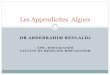 Les Appendicites Aiguesuniv.ency-education.com/uploads/1/3/1/0/13102001/semio3an27-appendi... · Definition Inflammation aigue de l’appendice. C’est l’urgence chirurgicale la