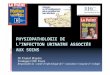 Dr Franck Bruyère Urologue CHU Tours Association Française ...rhc-arlin.pasman.fr/wp-content/uploads/2011/07/Dr-Bruyere.pdf · Définitions des IAS CTINILS mai 2007 (hors bactériurie