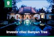 Investir chez Banyan Tree - Accor Dans les villes cl£©, Banyan Tree d£©veloppe desvillas et suites proposant