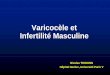 Varicocèle et Infertilité Masculine - Freestephanelarre.free.fr/DESC_Andro_PDF_Juin/ma4.pdf · varicocèle • prévalence : – 15-20% de la population masculine générale (Belloli