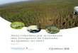 Aires infestées par la tordeuse des bourgeons de l'épinette au … · 2017-09-06 · MFFP − Aires infestées par la tordeuse des bourgeons de l’épinette au Québec en 201 7