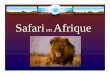 Safari en Afrique - Vidéotronpages.videotron.com/mijanou/images/afrique.pdfItinéraire Jour 7 – 03 mars 2006 Petit déjeuner au lodge et continuation vers le cratère du Ngorongoro