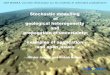 Stochastic modelling of geological heterogeneity and ...mmc2.geofisica.unam.mx/cursos/geoest/Articulos...Spatio-temporal process random walk Stochastic model Image of the geometry