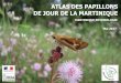 Atlas des papillons de jour de la Martinique - Avril 2017transfaire.antilles.inra.fr/IMG/pdf/ob_dfda24... · 3djh _ $wodv ghv sdsloorqv gh mrxu gh od 0duwlqltxh 0duwlqltxh (qwrprorjlh