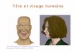 Tête et visage humainsdupuis/Modelisation et animation par ordinateur IFT... · Tête et visage humains Tiré de Bill Fleming & Darris Dobbs, Animating Facial Features & Expressions