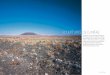 SCULPTURES DE LUMIÈRE · 40 PATEK PHILIPPE Au nord de Flagstaff, Arizona, des centaines de volcans éteints sont disséminés le long des plaines arides selon un schéma créé par