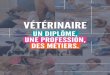 VÉTÉRINAIRE...Seules les personnes qui possèdent un diplôme de vétérinaire peuvent être autorisées à exercer la médecine et la chirurgie des animaux en France. Elles se’