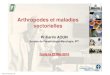 Arthropodes et maladies vectorielles...Maladies vectorielles Maladies infectieuses et parasitaires transmises par des vecteurs Institut Pasteur de Tunis 14% des maladies infectieuses