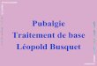 Pubalgie Traitement de base Léopold · PDF file 2011-03-28 · Léopold Busquet. 7-Colonne lombaire compression 1-Ischio-jambiers couse interne 6-Carré des lombes course interne