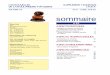 sommairelaurent.duretz.free.fr/.../Supplement61_Chocolat.pdf · 2005-04-05 · Utilisation du chocolat en artisanat Les applications du chocolat en artisanat, que ce soit en boulangerie