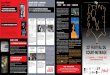 MERCREDI 22 JANVIER / CINÉMA LE VOX 1 …...ALLEZ HOP ! 7’30’’ France - 2013 Réalisation : Juliette Baily Production La Boîte... Productions, Les Films du Nord Une jeune femme