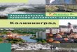 book Kaliningrad · Краткое описание экологи- ческих проблем города, их анализ и предлагаемые пути реше- ния