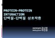 Protein-Protein Interaction 단백질-단백질 상호작용contents.kocw.or.kr/document/region/2010/02/01/02_01_11... · 2010-10-06 · 을얻을수있다. NMR분광법이나자기공명이미지