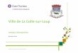 Ville de La Colle-sur-Loup · 2016-02-17 · (Cagnes) et sur les réseaux de la Commune. Le fonds de roulement risque fort d'être mobilisé. NB : Selon le CGCT, les excédents d'un