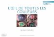 L’ŒIL DE TOUTES LES COULEURS - Vision  · PDF file

L’ŒIL DE TOUTES LES COULEURS Nantua le 8 juin 2016 Dr Bertrand Michaud -
