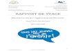 RAPPORT DE STAGE - Le Mans Universitycyberdoc.univ-lemans.fr/memoires/2014/Economie/M2/...cette année mon stage au sein du Service Emploi/Relations Entreprises de La Mission Locale