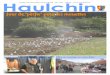 Lettre d·Information Municipale N° 107 - 2017 Haulchin · 2017-11-15 · cès les épreuves du Kata d·Hakko Den Shin Ryu, (Art Martial de défense apparenté à lAïkido) le vendredi