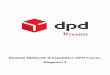 Module Méthode d'expédition DPD France Magento 2tekskydemo.com/documentation/dpdfrance/dpdfrance_fr.pdfVous devez avoir accès à l'API DPD France et à ses paramètres tels que