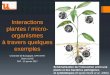 Interactions plantes / micro-organismes à travers …svt.ac-dijon.fr/IMG/pdf/ppt_interactions_plantes-mo.pdfIntroduction : les notions de plante et micro-organisme 3 Temps (années)