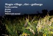 Mugta village gulbarga dist - Dr. Marri Channa Reddy Human ... Vist Presentations/MUGTA.pdf•According to the villagers, Mugta village is 300 years old. • It is 20 kms from Chittapur