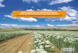 AdAptAtion de l’Agriculture Aux chAngements climAtiques recueil … · 2017-06-13 · publication réalisée avec le soutien financier: - du Ministère de l’Agriculture, de l’Agroalimentaire