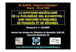 LA DATATION MOLÉCULAIRE DE LA PHYLOGÉNIE DES …desdevises.free.fr/Adaphyl/Adaptation_et_Phylo... · LA DATATION MOLÉCULAIRE DE LA PHYLOGÉNIE DES EUCARYOTES : UNE HISTOIRE D'HORLOGES,