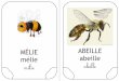 MÉLIE ABEILLE abeille - Freemateralbum.free.fr/abeilles/fred-gaelle-ref-melie.pdf · ABEILLE abeille abeille. ALVÉOLE alvéole alvéole ARAIGNÉE araignée araignée. MARTRE martre
