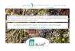 A land -based IMTA case: ALGAplus Lda , Portugal. · Access to land & water: • General land planning or dedicated spatial planning for aqua (Norway) • State property and as such