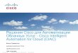 Cisco для Автоматизации Услуг - Cisco Intelligent · Netapp MDS UCS DSN Blades ESX, VMs OS images (Cat6500, ACE, FW) Nexus 2K, 5K, 7K Infrastructure ... Create
