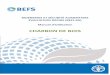 BIOÉNERGIE ET SÉCURITÉ ALIMENTAIRE ÉVALUATION RAPIDE (BEFS RA) Manuel … · 2017-11-28 · 1 Vue d'Ensemble du Module Option Utilisation Finale de l'Énergie Comme expliqué