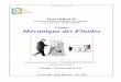 Cours Mécanique des Fluidesf2school.com/wp-content/uploads/2019/11/mecanique-des-fluides-cours-05.pdf(A l'exemple du physicien Otto von Guericke, bourgmestre de Magdebourg, Allemagne,