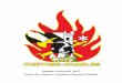 Rapport d’activité 2017 Corps des Sapeurs-Pompiers Cheyres …csp-cheyreschables.ch/portail/pdfs/rapport activit 2017.pdf · 2018-02-07 · d’accueillir les amis des sapeurs-pompiers