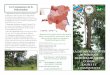 Les Conséquences de la Déforestationprojetequateur.org/wp-content/uploads/2016/05/Deforestation_Depliant.pdf · Projet Equateur | Zamba Malamu 14 Avenue de la Clinique, Mbandaka