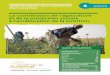 La contribution de l’agriculture et de la protection ...scalingupnutrition.org/wp-content/uploads/2015/09/SUN-IN-PRACTICE-4... · dans la pratique. 2 3 La contribution de l’agriculture