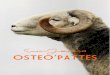 OSTEO’PATTES · de Raymond Dextreit pour vous expliquer la différences entre deux types d’argiles, dont une plus spécifique. « Kaolin : Cette roche argileuse tire son nom du