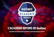 L’ACADÉMIE ESPORTS DE Québec · 2019-08-26 · Ligue traditionnel en esports Les éditeurs de jeux vidéo organisent des ligues géolocalisés avec une image de marque (Branding)
