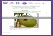 UNIVERSITE CHEIKH ANTA DIOP DE DAKAR …Direction de la Protection des Végétaux (DPV) sur le bilan de la GOANA de 2007, statue d’un niveau moyen des dégâts constaté, à hauteur