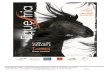 Dossier presse Equestria 2011 - [ Site d'informations en ligne, sur … · 2011-05-18 · 6- Equestria en chiffres p 12 7- L ... le temps d’une douce parenthèse estivale. La Nuit