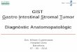 GIST Gastro Intestinal Stromal Tumor Diagnòstic ...Dèficit succinato-deshidrogenasa B, C, D ... • Márgenes de resección (distancia al más próximo y especificar) GIST- Informe