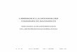 L'EMISSION ET LA DIFFUSION DES CONSIGNES DE NAVIGABILITE ... · PDF file - the notices of Foreign Airworthiness Directives issuing (AD notices or AAD) following the issuing of an Airworthiness