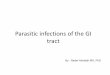 Parasitic infections of the GI tract ... absence of amoeba . Giardia duodenalis ¢â‚¬¢Common cause of intestinal