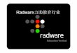 Radware力助教育行业 - EOLfree.eol.cn/edu_net/2006aq/Radware.pdf · 3 Intelligent Application Switching Radware Radware 公司背景 公司简介 • 成立于97年,99年上市(NASDAQ: