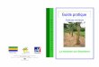 Guide pratique - IGAD-Gabon...6 Bananier sur brachiaria 1.1.3. Travail du sol A Densité et écartements Le piquetage de la parcelle se fait en tenant compte du système de culture